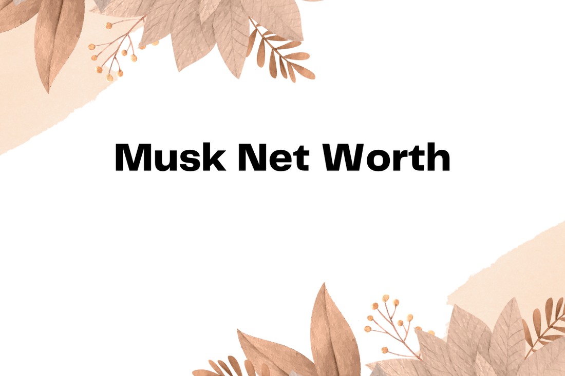 Musk Net Worth