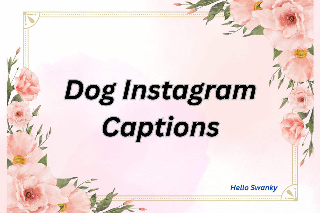 Dog Instagram Captions