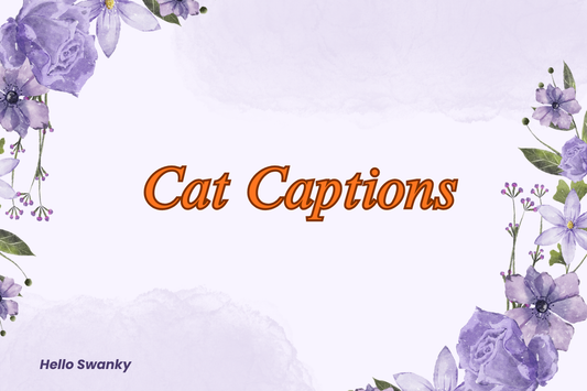 Cat Captions