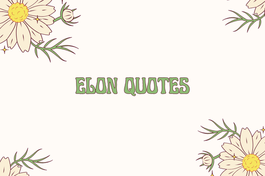 Elon Quotes