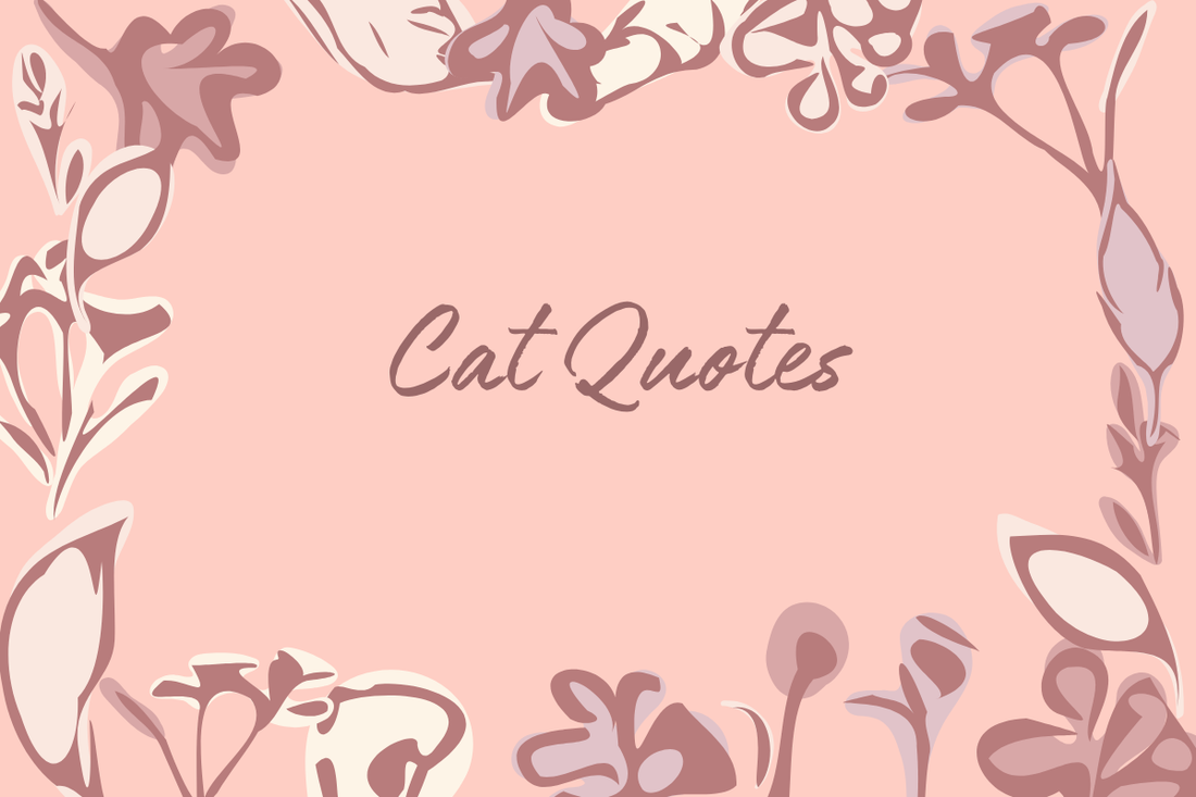 Cat Quotes