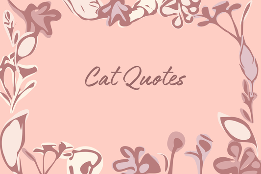 Cat Quotes