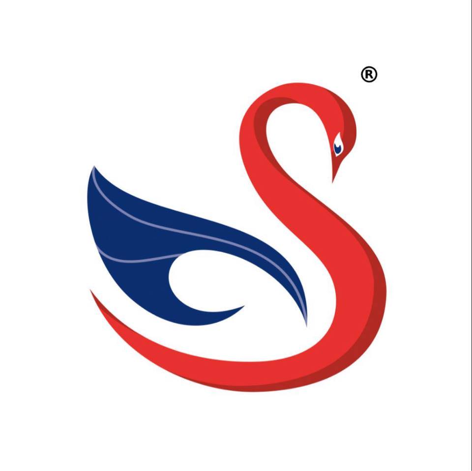 Founder of Hello Swanky Online