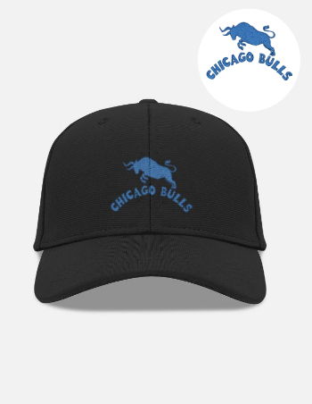 Chicago Bulls Embroidered Sports Logo Design