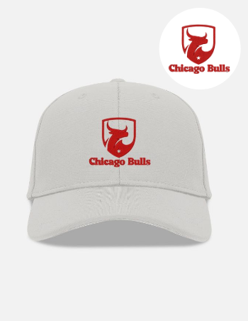 Chicago Bulls Embroidered Shield Logo Design