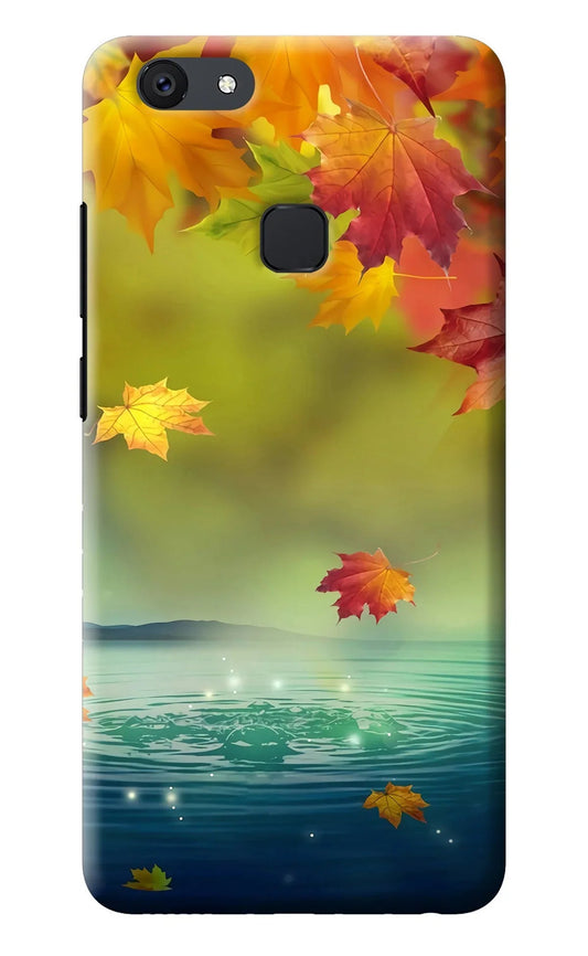 Flowers Vivo V7 Back Cover