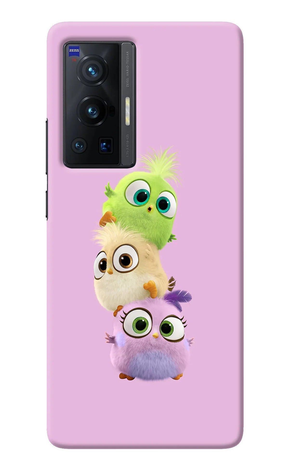 Cute Little Birds Vivo X70 Pro Back Cover