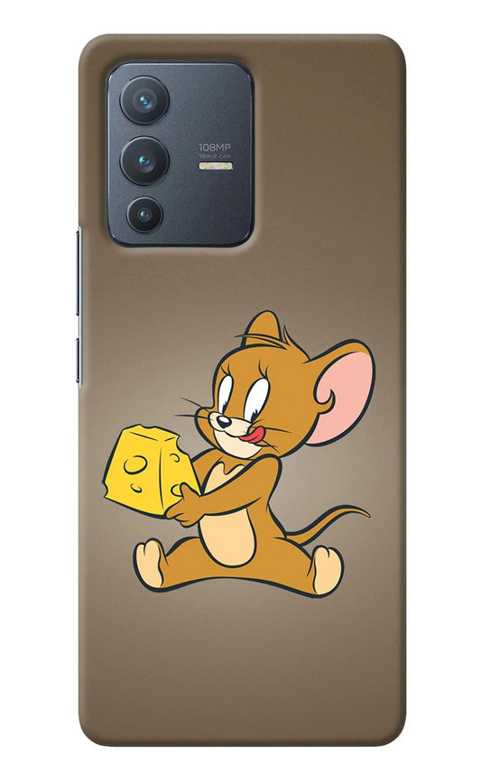 Jerry Vivo V23 Pro 5G Back Cover