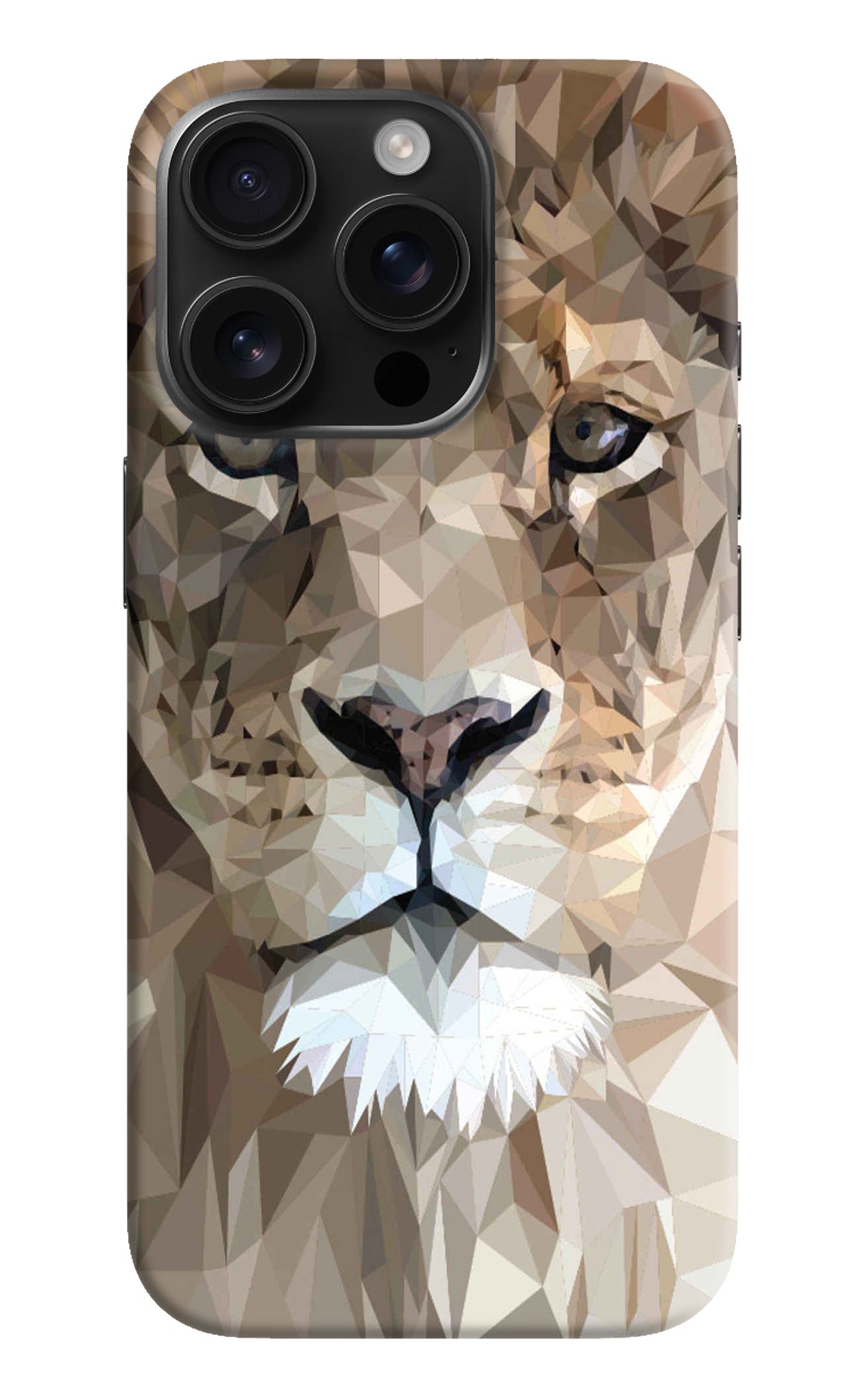 Lion Art iPhone 16 Pro Back Cover