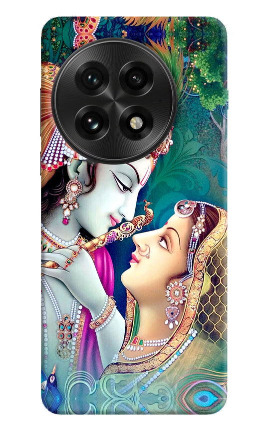 Lord Radha Krishna OnePlus 13 Back Cover