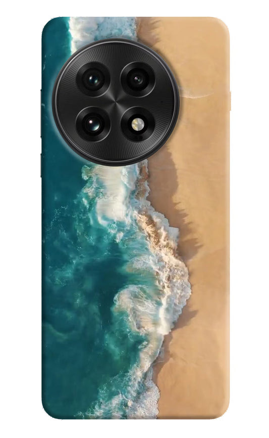 Ocean Beach OnePlus 13 Back Cover