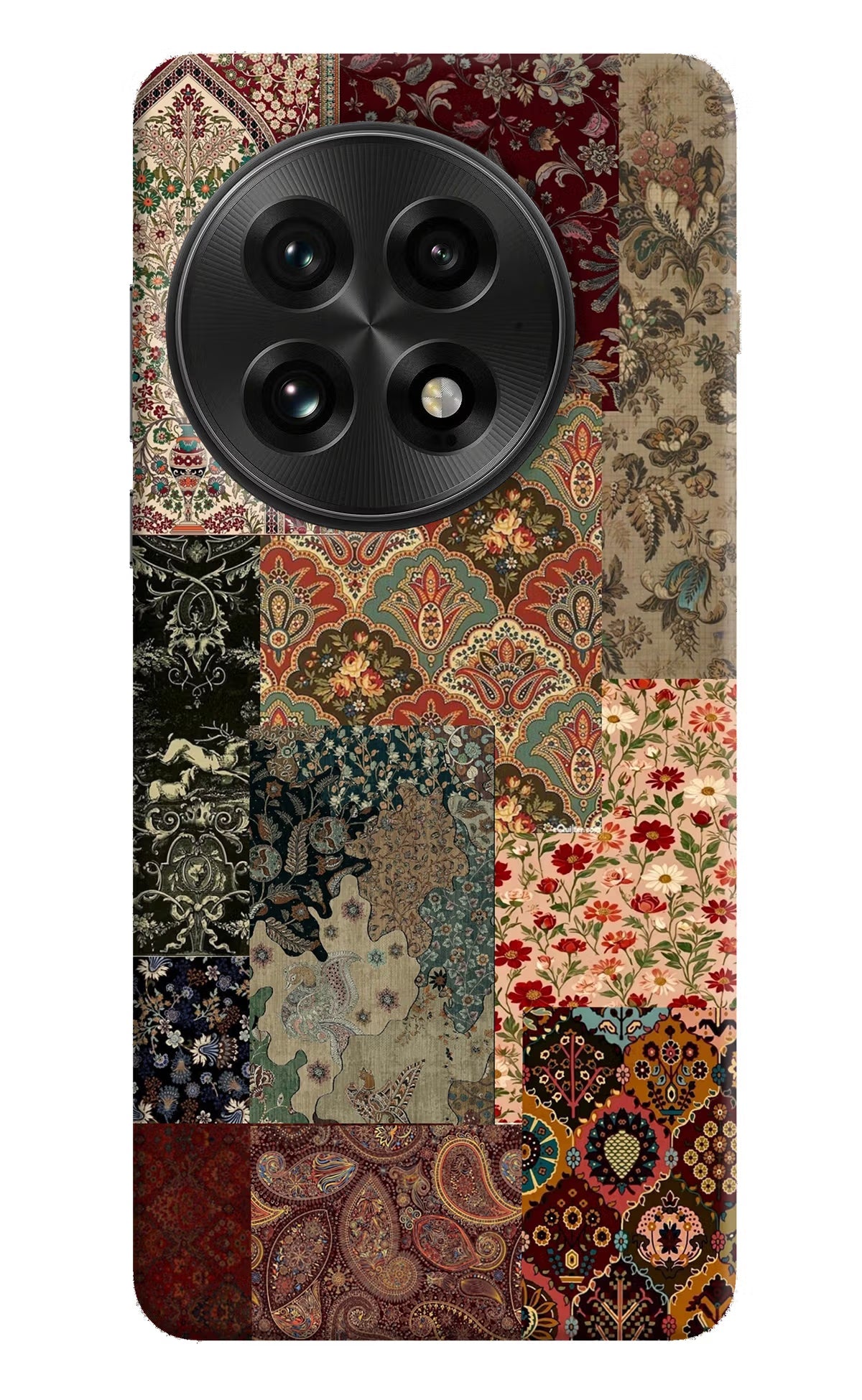 Desi Print OnePlus 13 Back Cover