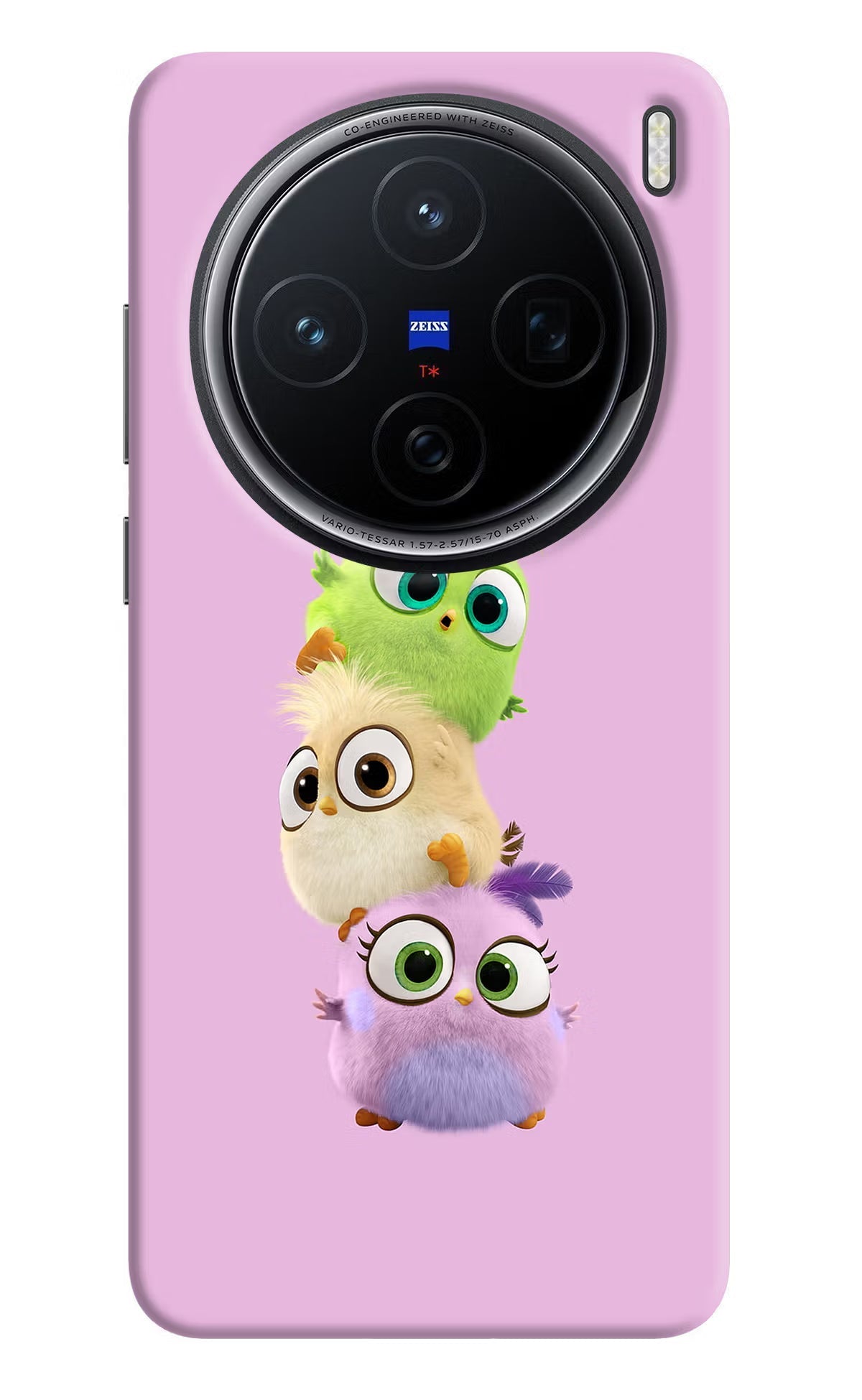 Cute Little Birds Vivo X200 5G Back Cover