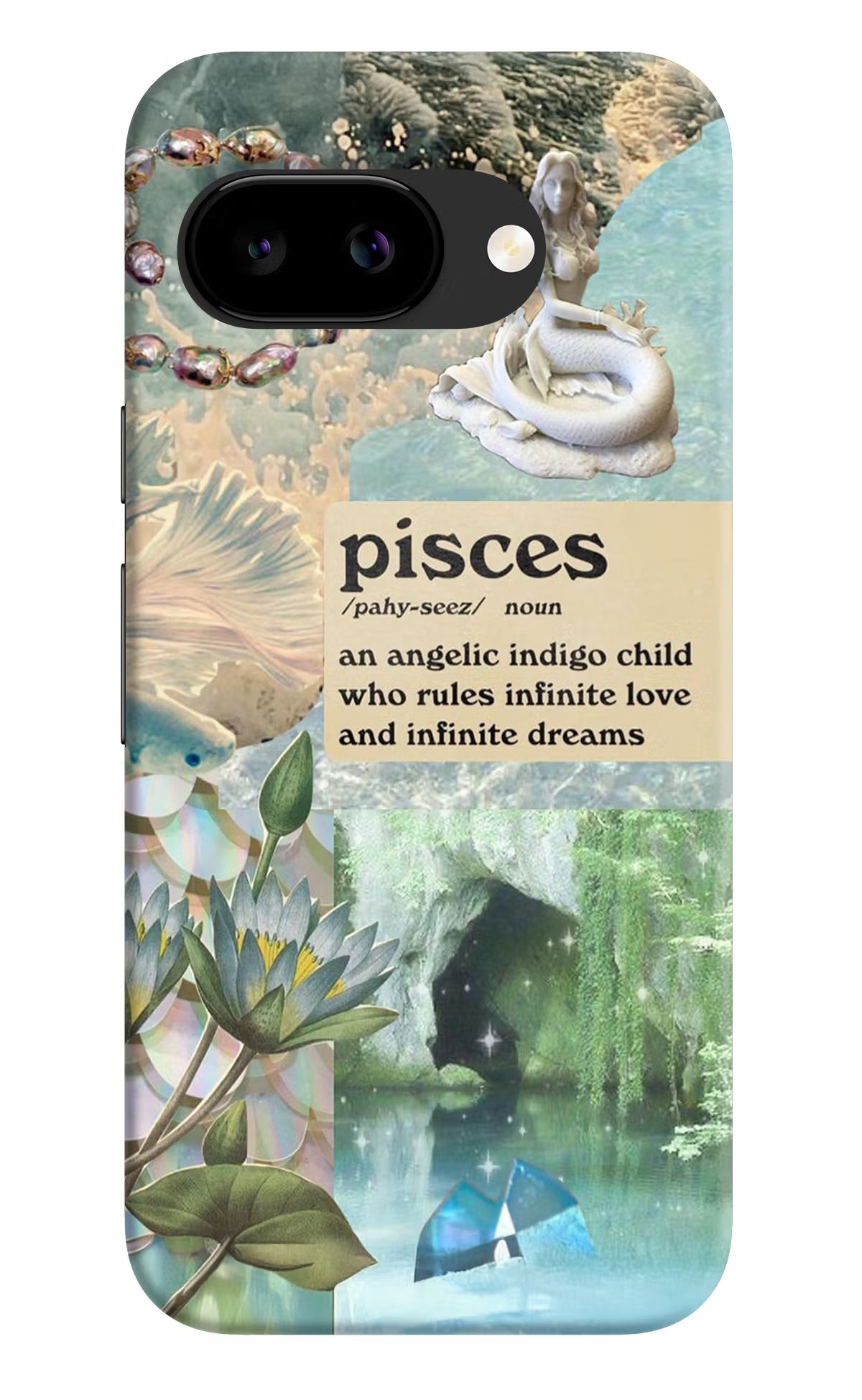 Pisces Zodiac Google Pixel 9a Back Cover Hard Case - Hello Swanky