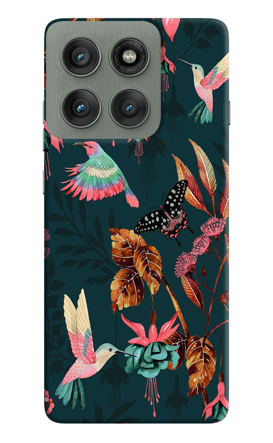 Birds Moto Edge 60 Pro Back Cover