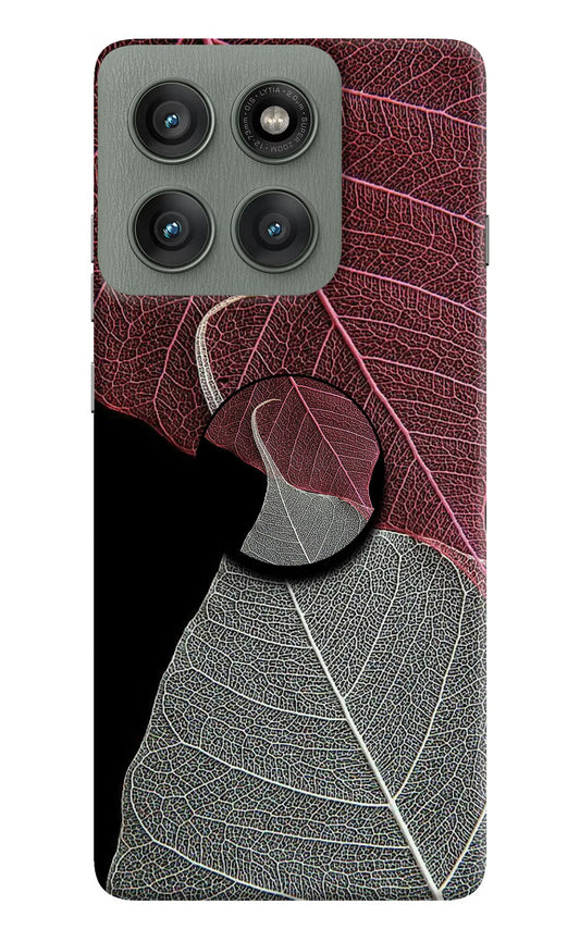 Leaf Pattern Moto Edge 60 Pro Pop Case