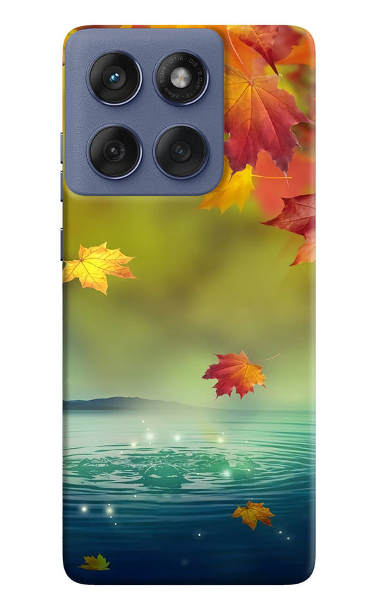 Flowers Moto Edge 60 Fusion Back Cover