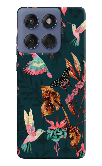 Birds Moto Edge 60 Fusion Back Cover