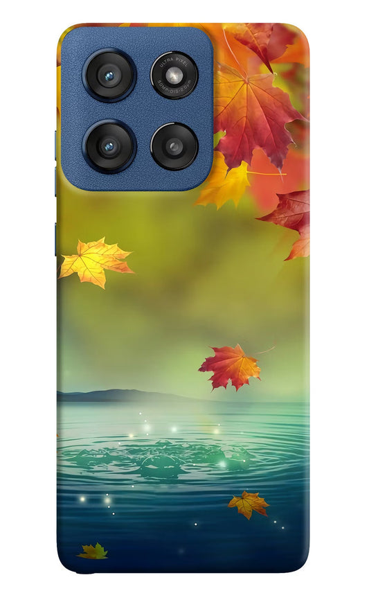 Flowers Moto Edge 60 Stylus Back Cover