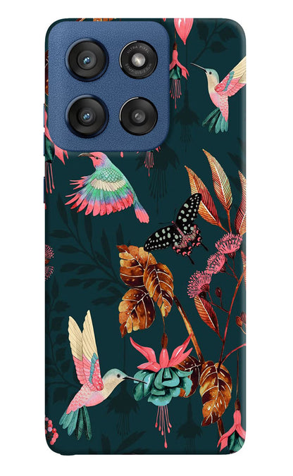 Birds Moto Edge 60 Stylus Back Cover