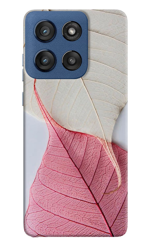 White Pink Leaf Moto Edge 60 Stylus Back Cover