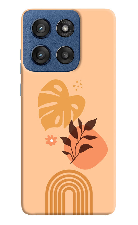 Bohemian Art Moto Edge 60 Stylus Back Cover