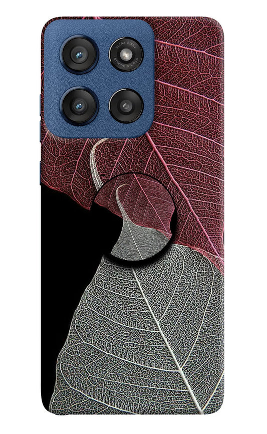 Leaf Pattern Moto Edge 60 Stylus Pop Case