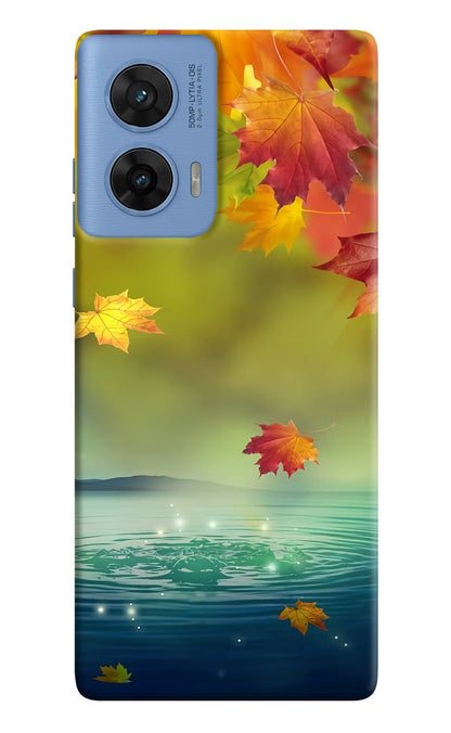 Flowers Moto G96 5G Back Cover