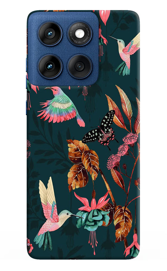 Birds Moto Edge 60 Back Cover