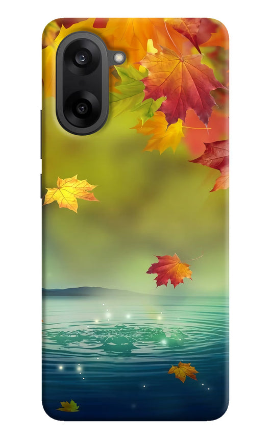 Flowers OnePlus Nord CE5 Back Cover