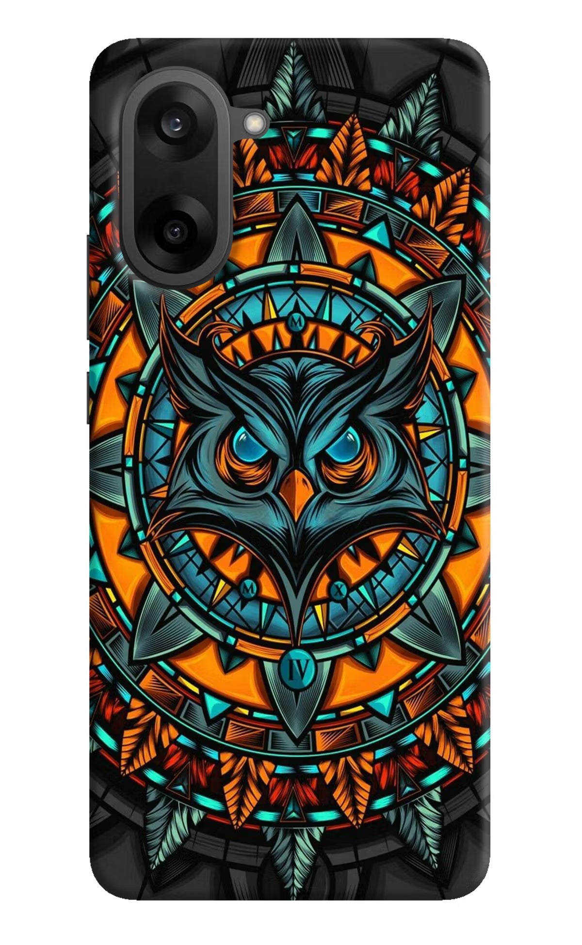 Angry Owl Art OnePlus Nord CE5 Back Cover