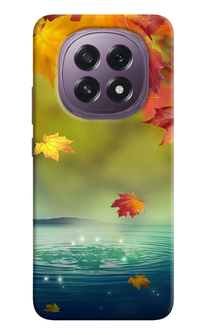 Flowers Oppo F29 5G Back Cover