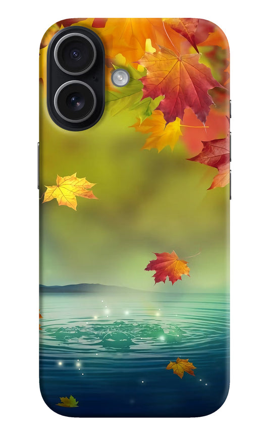 Flowers iPhone 17 Back Cover