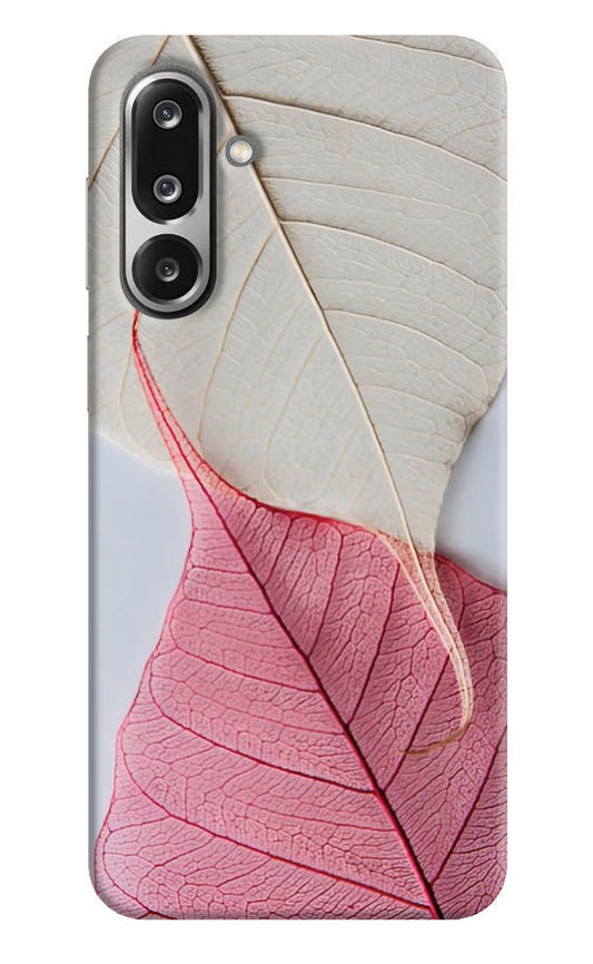 White Pink Leaf Samsung F36 5G Back Cover