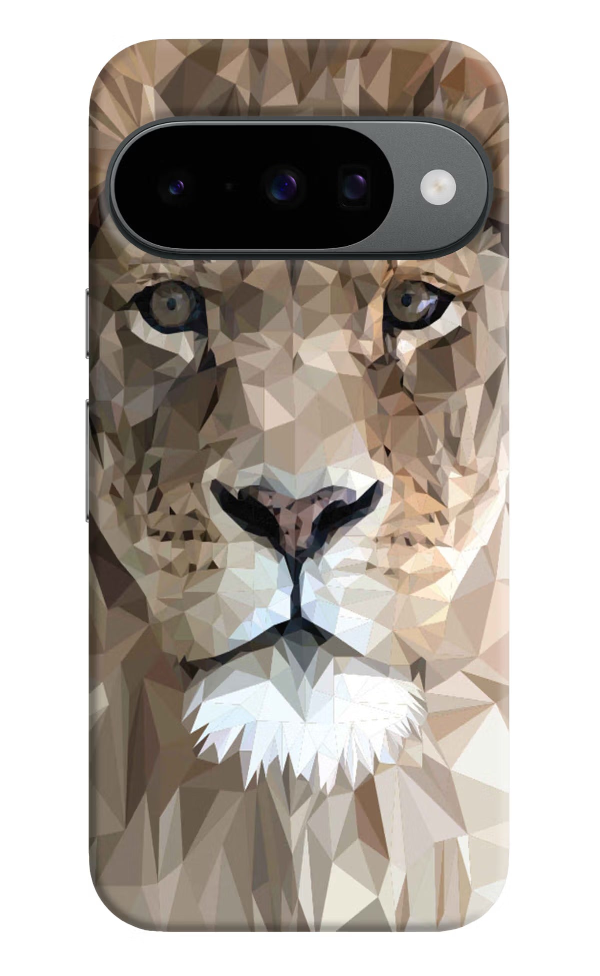 Lion Art Google Pixel 10 Back Cover