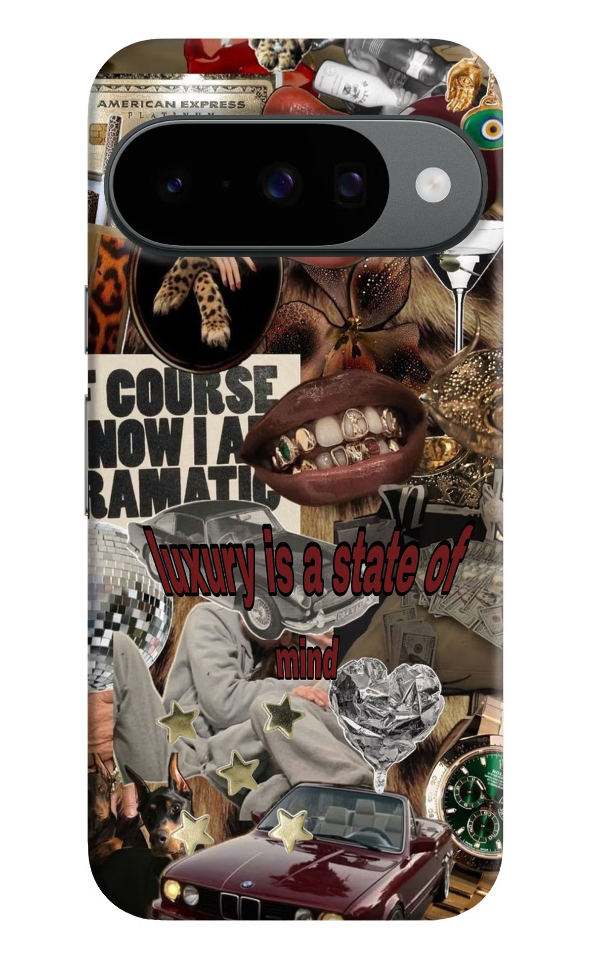 Luxury Google Pixel 10 Back Cover