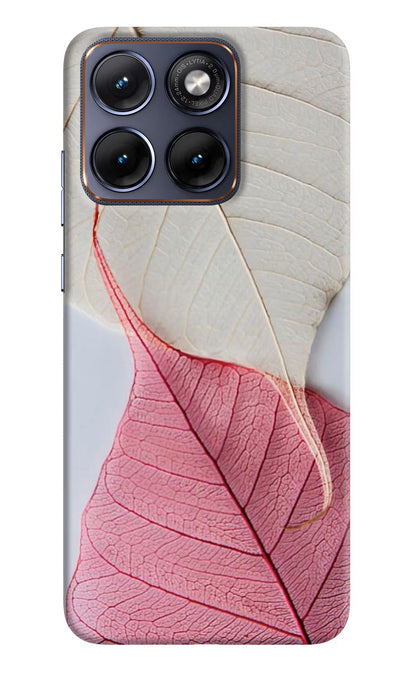 White Pink Leaf Moto Edge 70 Fusion Back Cover Hard Case - Hello Swanky