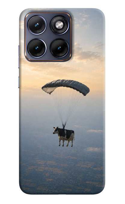 Skydiving Cow Moto Edge 70 Fusion Back Cover Hard Case - Hello Swanky