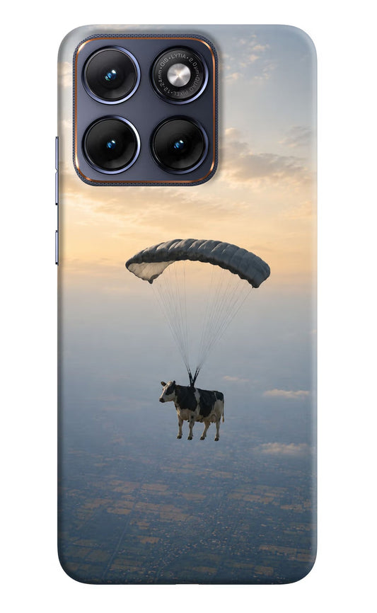 Skydiving Cow Moto Edge 70 Fusion Back Cover Hard Case - Hello Swanky