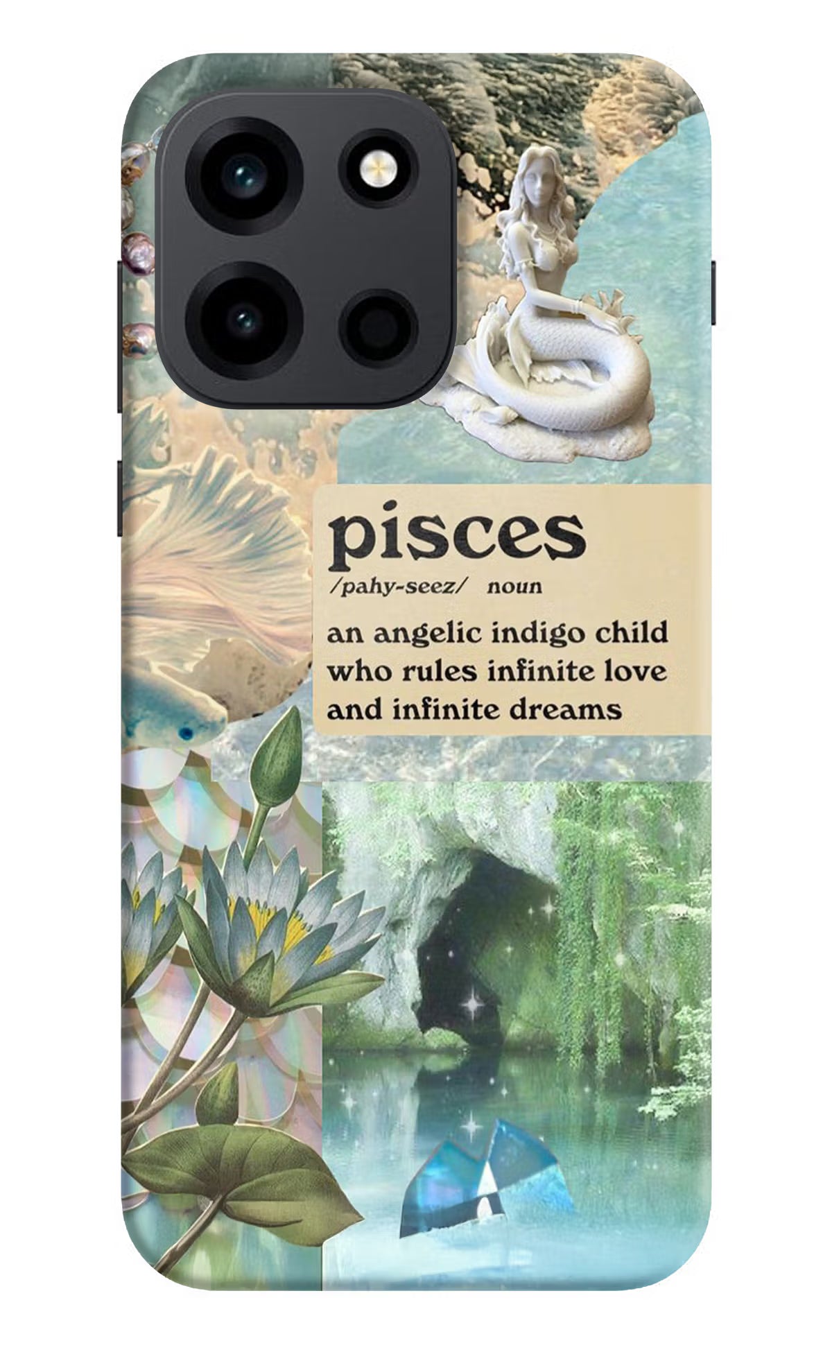 Pisces Zodiac OnePlus Nord 6 Back Cover Hard Case - Hello Swanky