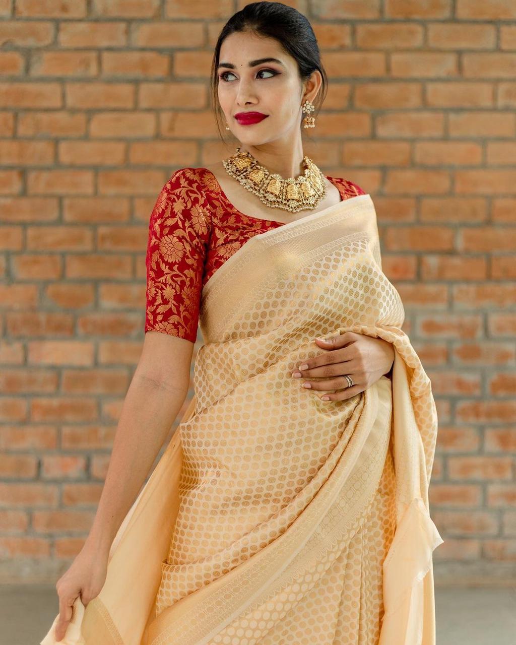 Beautiful Soft And Silky Litchi Silk Saree