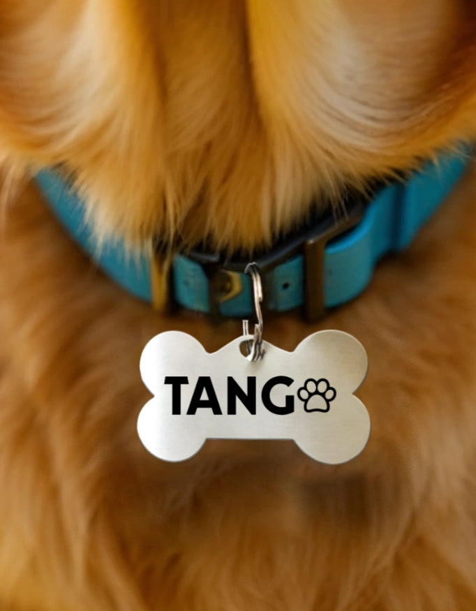 Tango Paw Bold Pet Tag