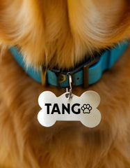 Tango Paw Bold Pet Tag