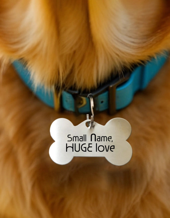 Small Name Huge Love Pet Tag