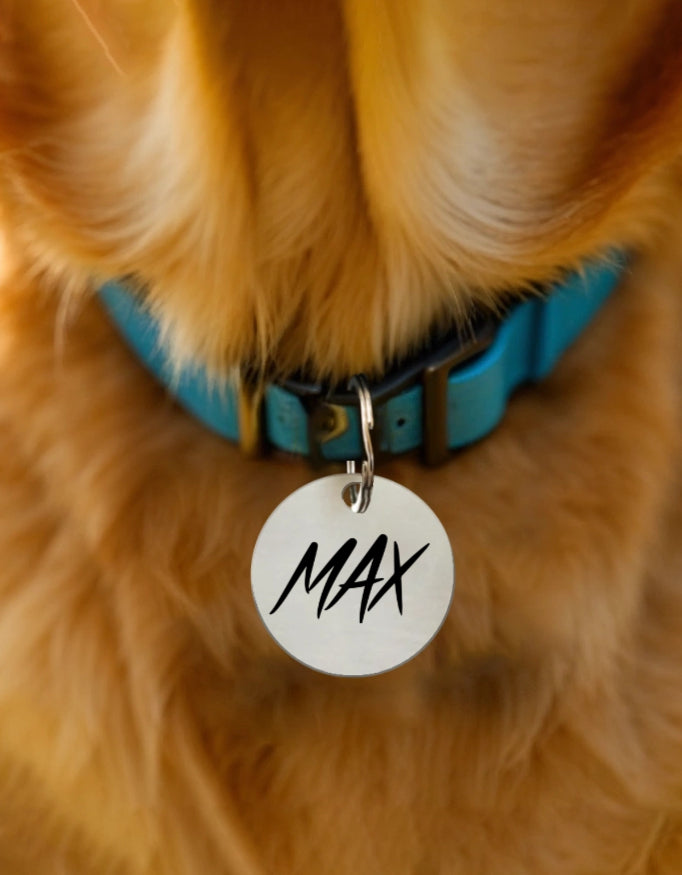 Max Pet Tag