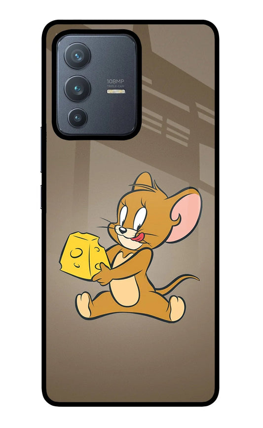 Jerry Vivo V23 Pro 5G Back Cover