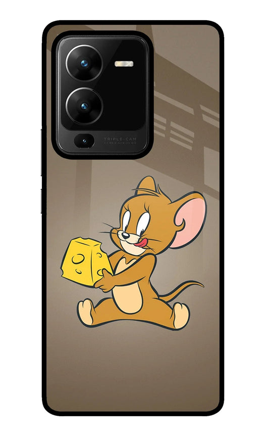 Jerry Vivo V25 Pro 5G Glass Case