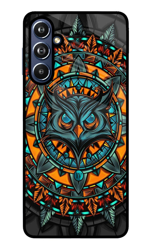 Angry Owl Art Samsung F54 5G Back Cover