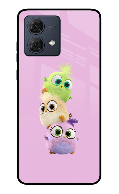 Cute Little Birds Moto G84 5G Back Cover