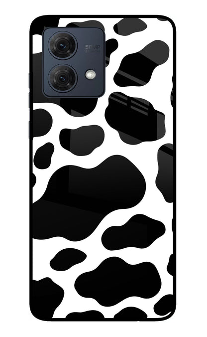 Cow Spots Moto G84 5G Back Cover